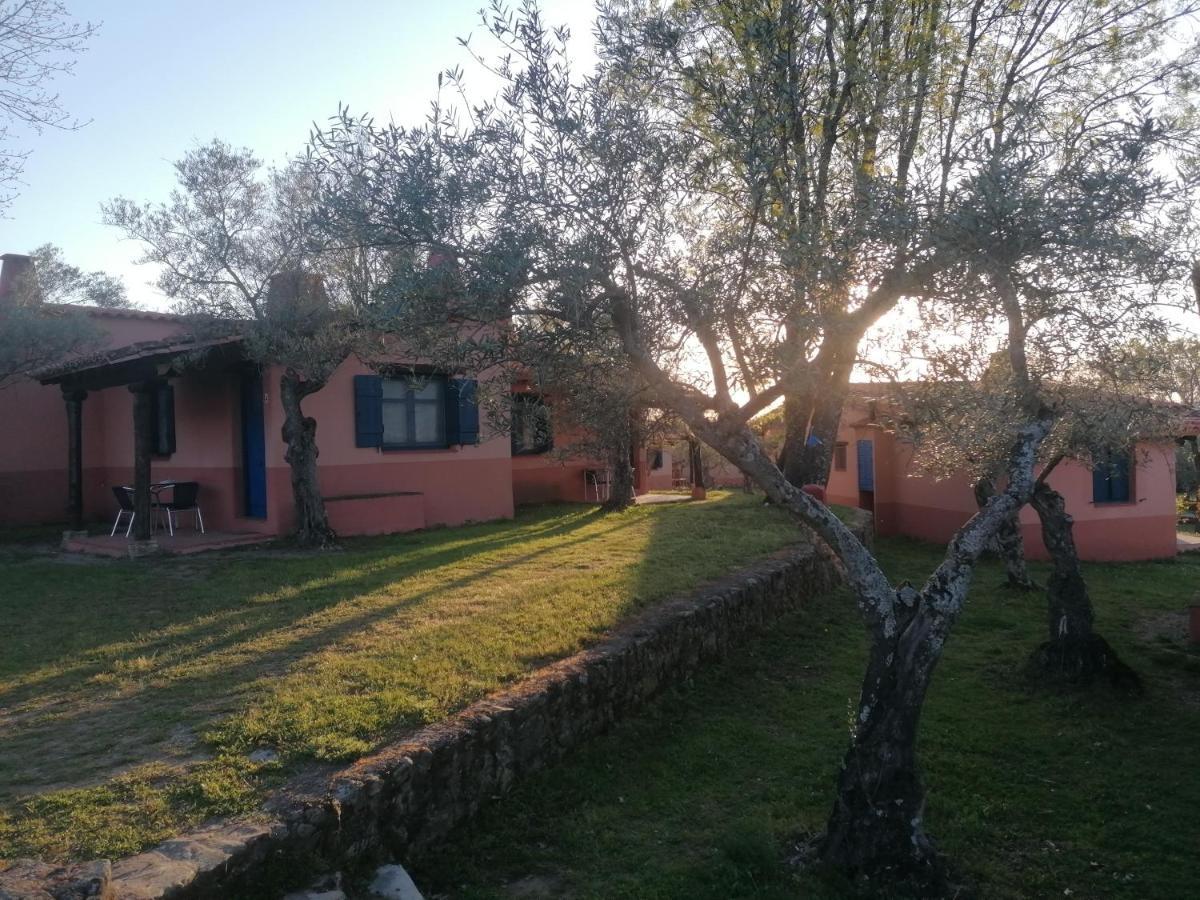 Complejo Aldea Vetonia Check Out Hasta Las 20H Parque De Mascotas Zonas Infantiles Ideal Grupos Parejas Familias Informate Apertura Piscina 1 De Mayo Hervás Eksteriør bilde