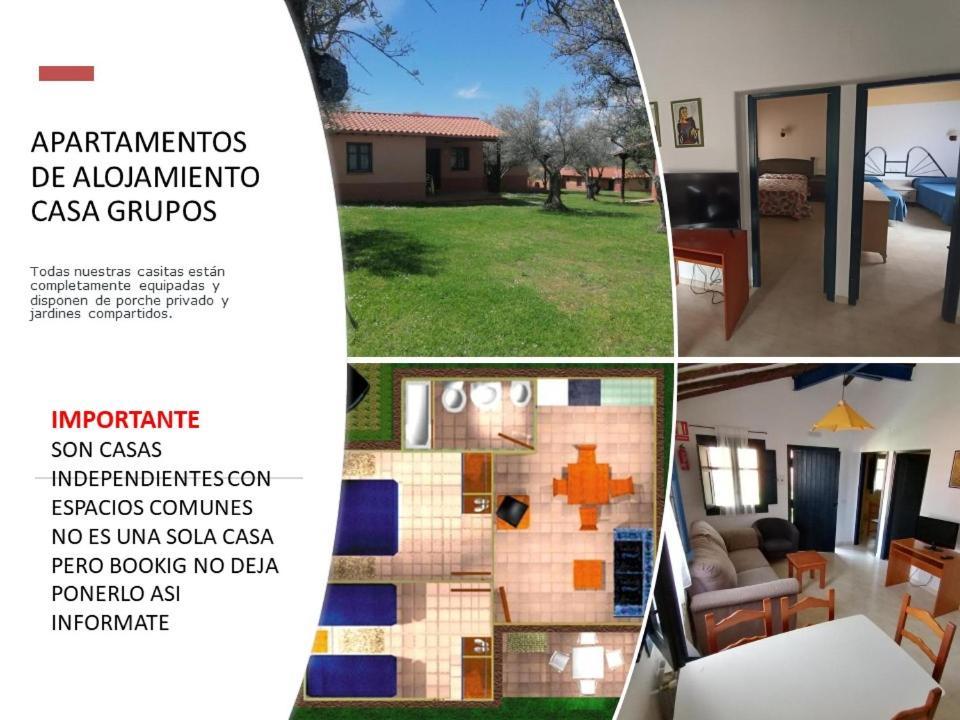 Complejo Aldea Vetonia Check Out Hasta Las 20H Parque De Mascotas Zonas Infantiles Ideal Grupos Parejas Familias Informate Apertura Piscina 1 De Mayo Hervás Eksteriør bilde