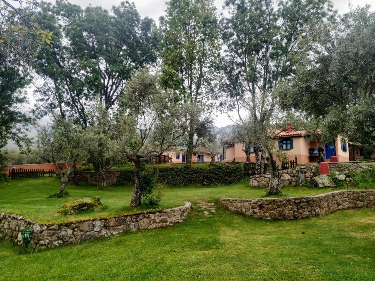 Complejo Aldea Vetonia Check Out Hasta Las 20H Parque De Mascotas Zonas Infantiles Ideal Grupos Parejas Familias Informate Apertura Piscina 1 De Mayo Hervás Eksteriør bilde