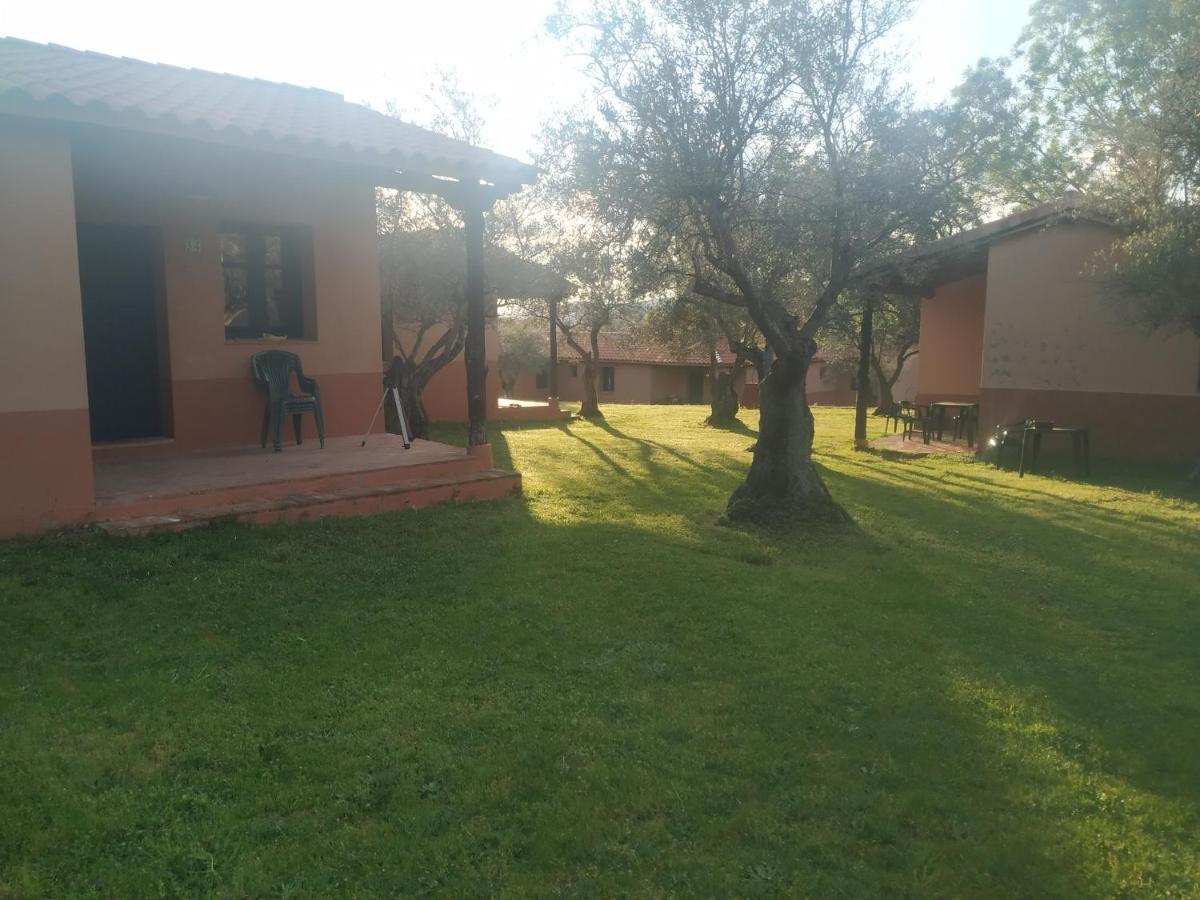 Complejo Aldea Vetonia Check Out Hasta Las 20H Parque De Mascotas Zonas Infantiles Ideal Grupos Parejas Familias Informate Apertura Piscina 1 De Mayo Hervás Eksteriør bilde